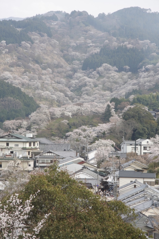 写真提供:一般財団法人 奈良県ビジターズビューロー
