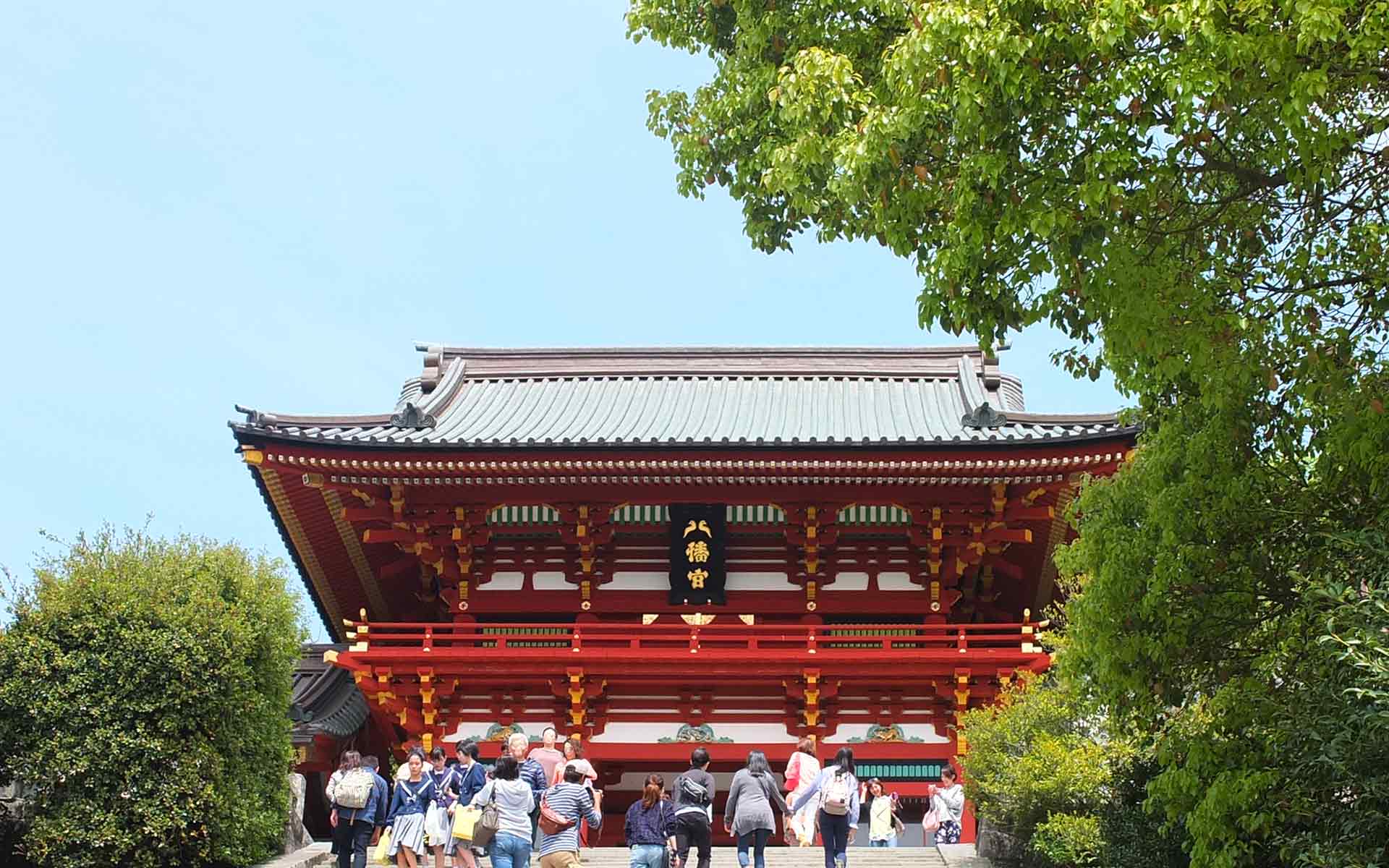 なぜ鎌倉の鶴岡八幡宮には鳩が多いのか。シンボルになった鳩の秘密