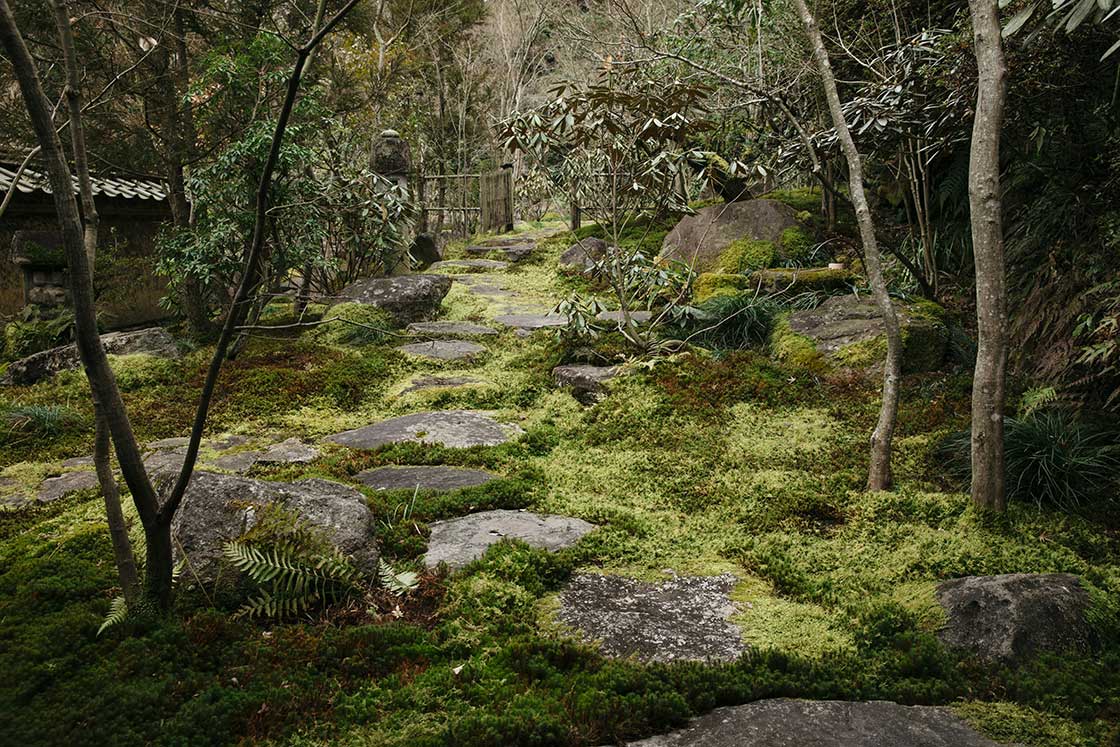 高野寺の庭から茶室までの道