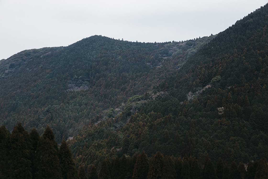 長崎県波佐見町の造園会社「西海園芸」の庭師、加藤陽介さんが「究極の庭」と表現する山