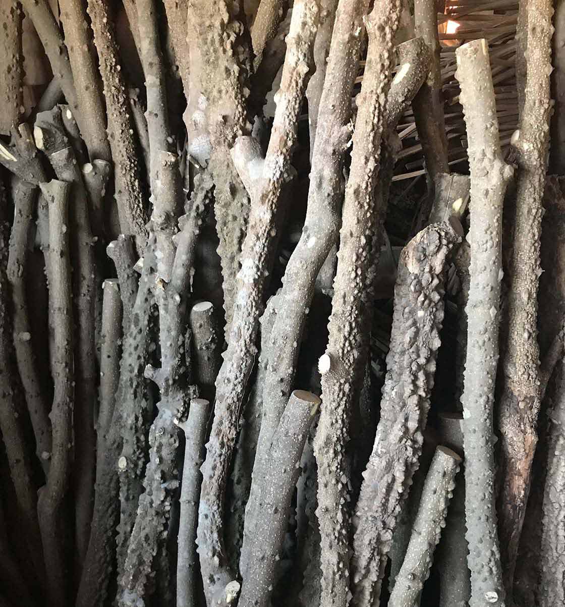 すりこぎの材質は山椒の木が最適」。その理由を益子の竹工房せきねで知る | 中川政七商店の読みもの