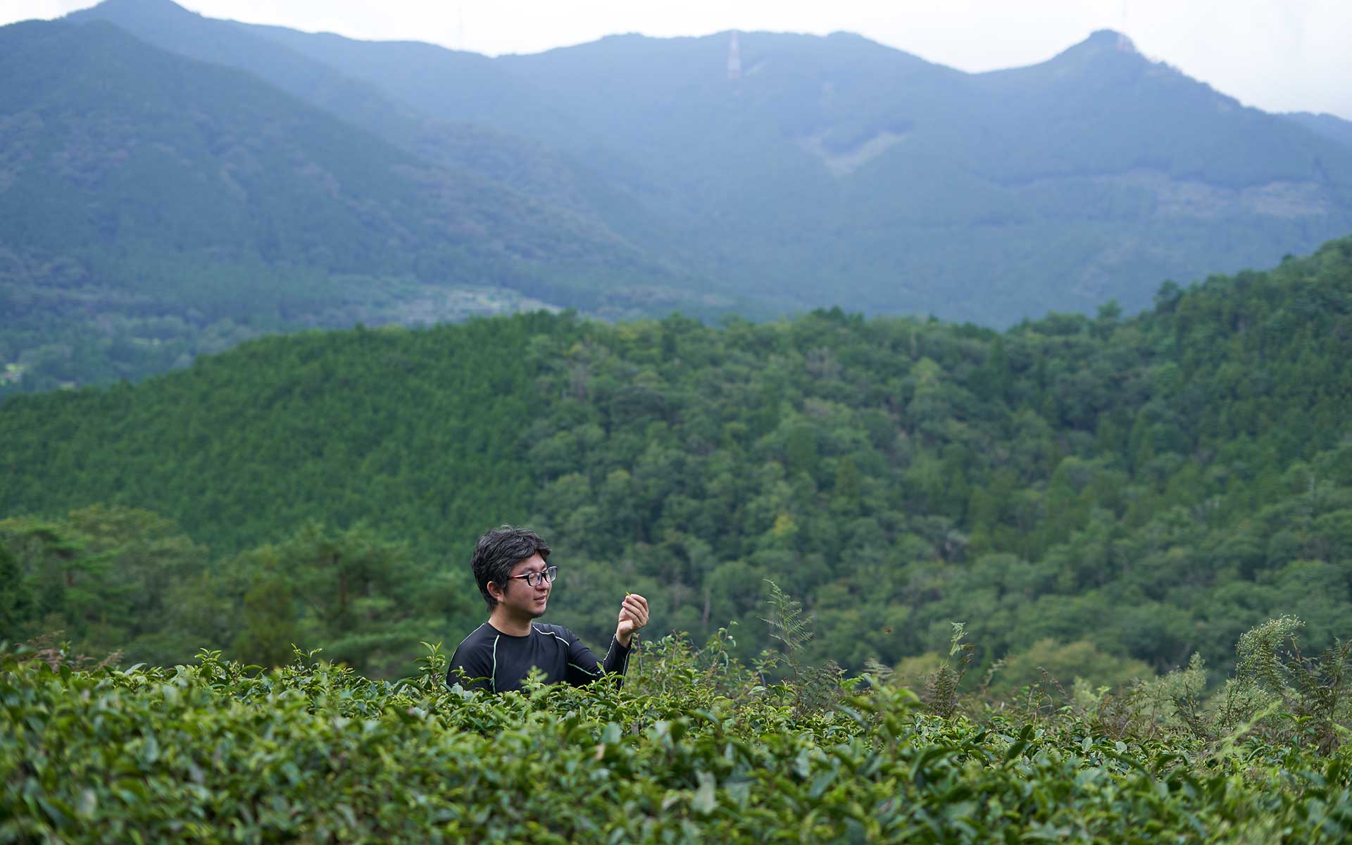日本で数パーセント、無農薬のお茶づくりに挑戦。300年の茶園を継いだ元サラリーマン