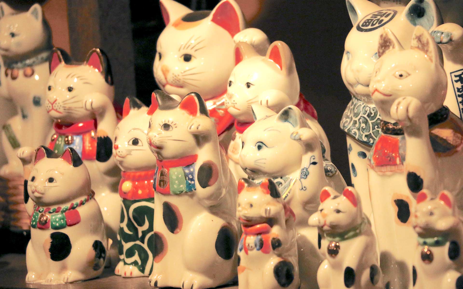 招き猫とは。江戸から全国に広まった縁起物 | 中川政七商店の読みもの